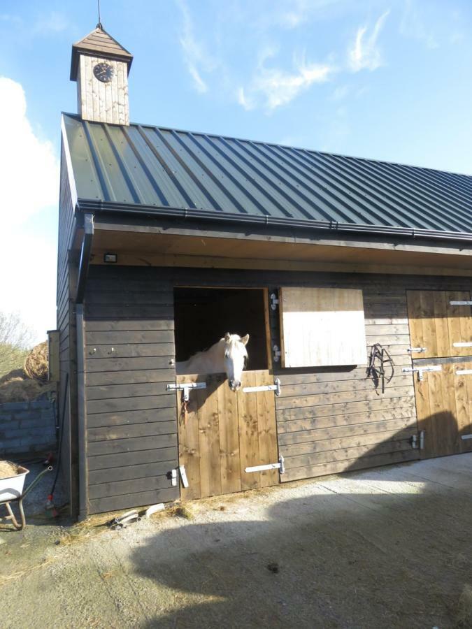 Bunkhouse - Letterfrack Farm Villa Eksteriør billede